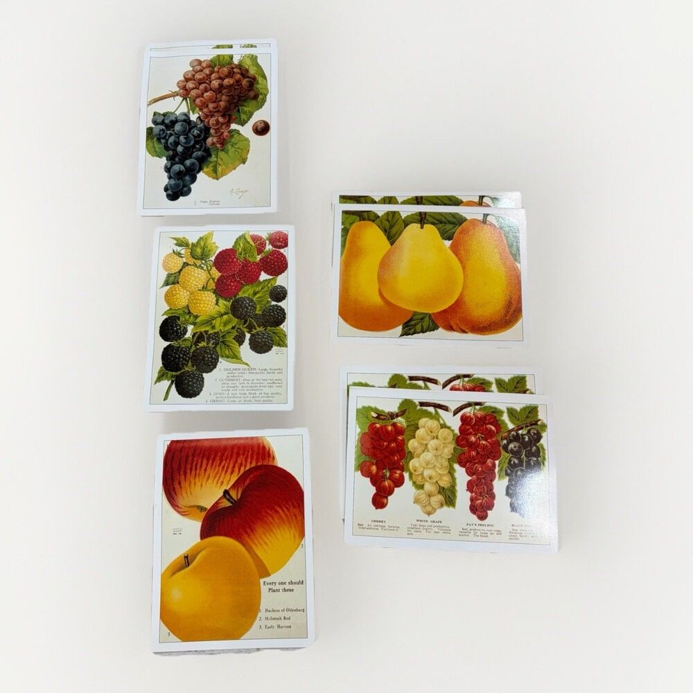 Vintage Fruit Print Notecards Blank Set of 8 Smithsonian Recipes Cards New